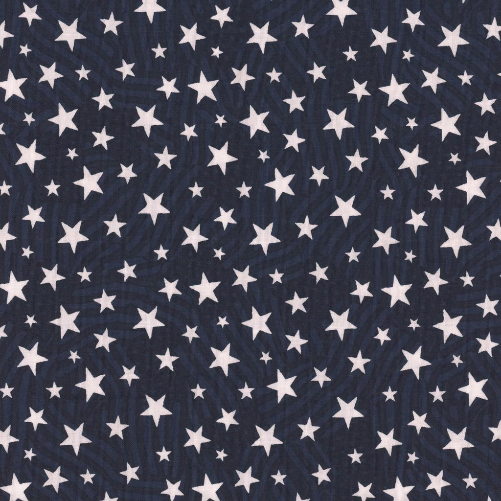 Stars of Valor by Beth Grove for Wilmington Prints